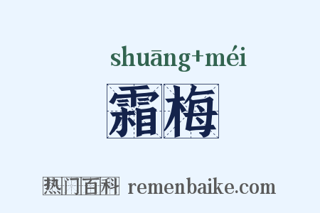 霜梅是什么意思的图片
